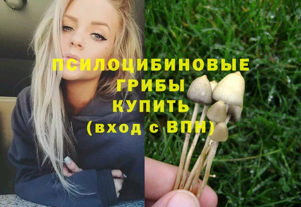 PSILOCYBIN Белокуриха